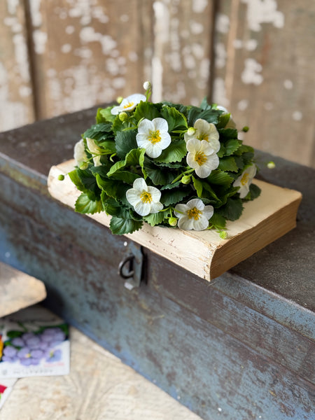 Glory Bloom Half Sphere | 8" | Cream | NOT CURRENTLY IN STOCK-New For Spring 2027!