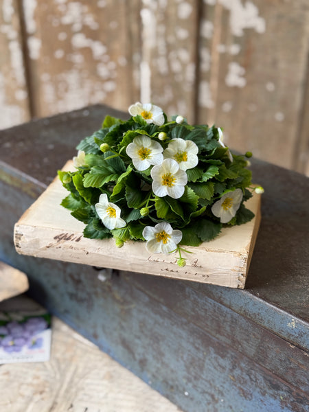 Glory Bloom Half Sphere | 8" | Cream | NOT CURRENTLY IN STOCK-New For Spring 2027!