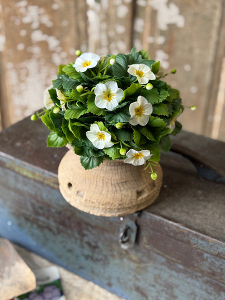 Glory Bloom Half Sphere | 8" | Cream | NOT CURRENTLY IN STOCK-New For Spring 2027!