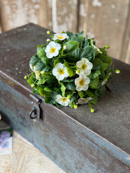 Glory Bloom Half Sphere | 8" | Cream | NOT CURRENTLY IN STOCK-New For Spring 2027!