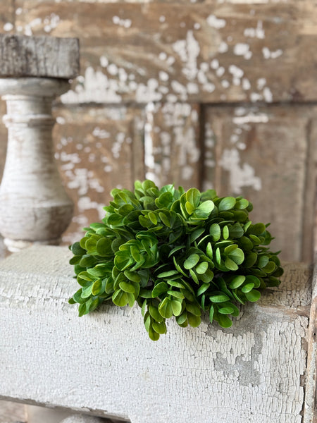 Stonecrop Half Sphere | 11" | NOT CURRENTLY IN STOCK-New For Spring 2027!