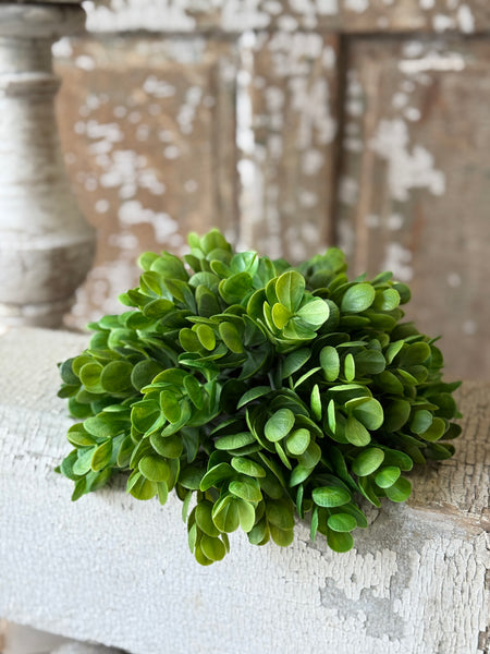 Stonecrop Half Sphere | 11" | NOT CURRENTLY IN STOCK-New For Spring 2027!