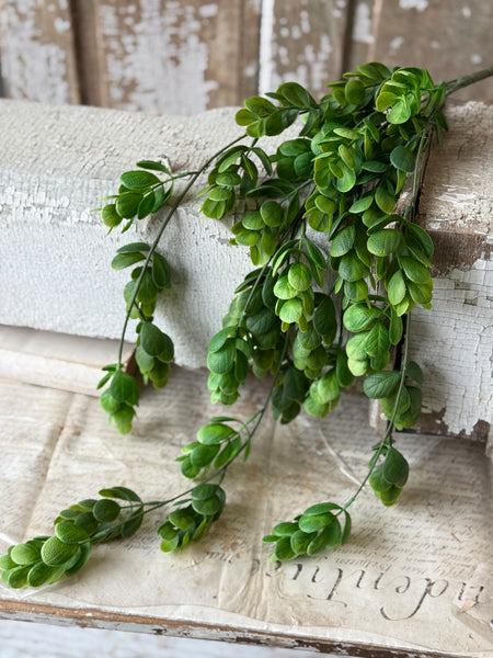Stonecrop Hanging | 29" | NOT CURRENTLY IN STOCK-New For Spring 2027!
