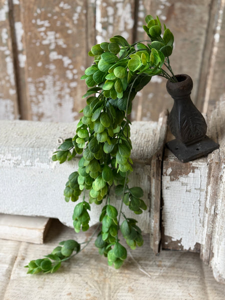 Stonecrop Hanging | 29" | NOT CURRENTLY IN STOCK-New For Spring 2027!
