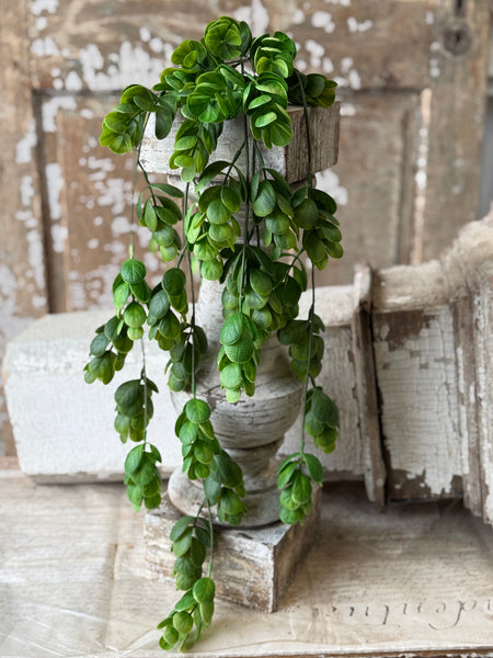 Stonecrop Hanging | 29" | NOT CURRENTLY IN STOCK-New For Spring 2027!