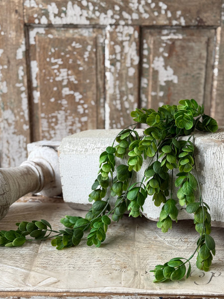 Stonecrop Hanging | 29" | NOT CURRENTLY IN STOCK-New For Spring 2027!