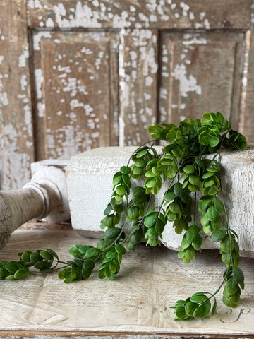 Stonecrop Hanging | 29" | NOT CURRENTLY IN STOCK-New For Spring 2027!