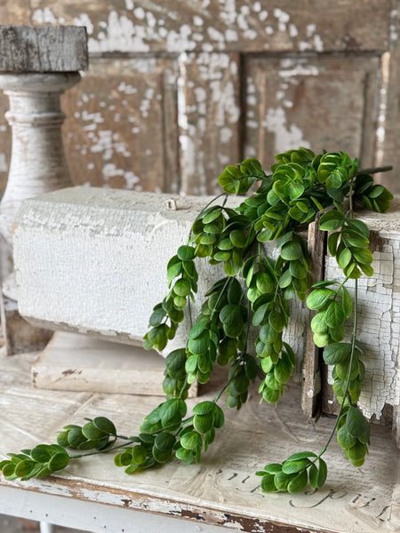 Stonecrop Hanging | 29" | NOT CURRENTLY IN STOCK-New For Spring 2027!