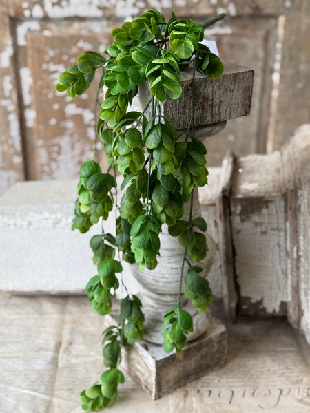 Stonecrop Hanging | 29" | NOT CURRENTLY IN STOCK-New For Spring 2027!