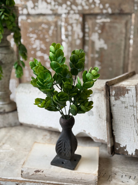 Stonecrop Bush | 12.5" | NOT CURRENTLY IN STOCK-New For Spring 2027!
