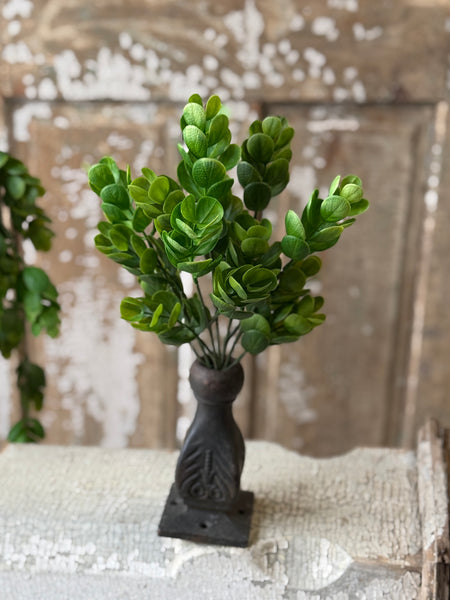 Stonecrop Bush | 12.5" | NOT CURRENTLY IN STOCK-New For Spring 2027!