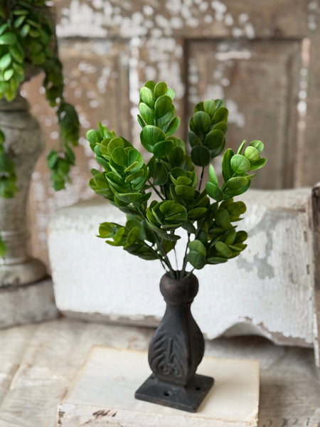 Stonecrop Bush | 12.5" | NOT CURRENTLY IN STOCK-New For Spring 2027!