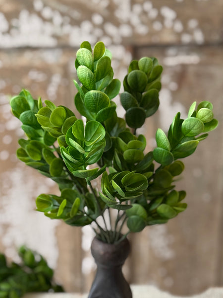 Stonecrop Bush | 12.5" | NOT CURRENTLY IN STOCK-New For Spring 2027!