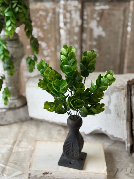 Stonecrop Bush | 12.5" | NOT CURRENTLY IN STOCK-New For Spring 2027!
