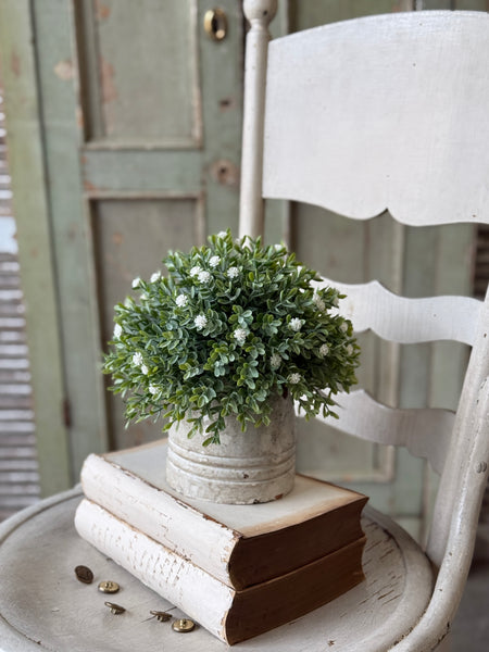 Button Buds Half Sphere | 9" | NOT CURRENTLY IN STOCK-New For Spring 2027!