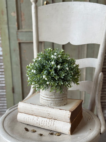 Button Buds Half Sphere | 9" | NOT CURRENTLY IN STOCK-New For Spring 2027!