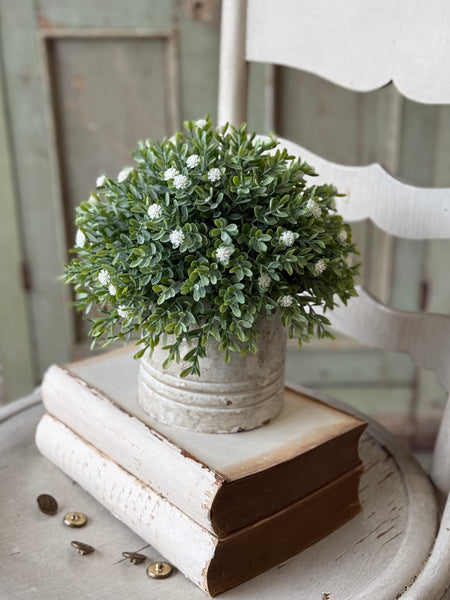 Button Buds Half Sphere | 9" | NOT CURRENTLY IN STOCK-New For Spring 2027!