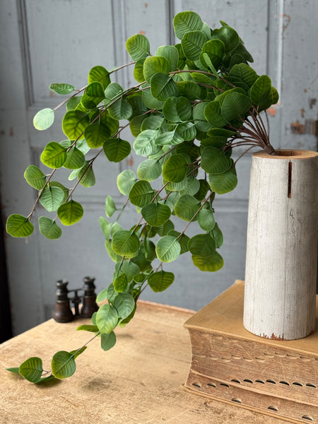 Cascading Bush - Spyglass | 29" | NOT CURRENTLY IN STOCK-New For Spring 2027!
