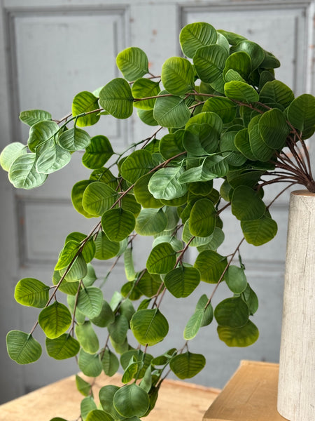 Cascading Bush - Spyglass | 29" | NOT CURRENTLY IN STOCK-New For Spring 2027!