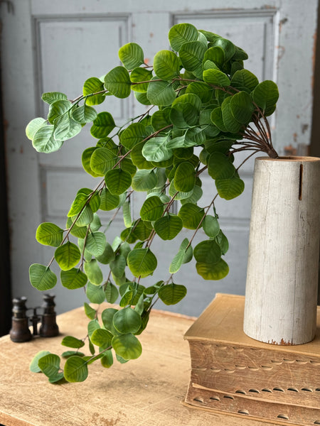 Cascading Bush - Spyglass | 29" | NOT CURRENTLY IN STOCK-New For Spring 2027!