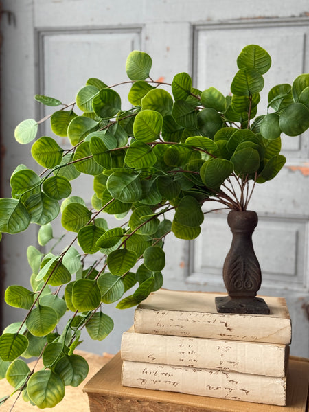 Cascading Bush - Spyglass | 29" | NOT CURRENTLY IN STOCK-New For Spring 2027!
