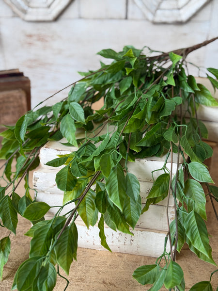 Cascading Bush - Norwood | 31" | NOT CURRENTLY IN STOCK-New For Spring 2027!