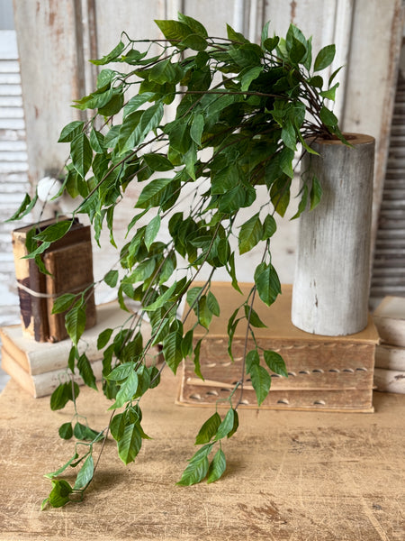 Cascading Bush - Norwood | 31" | NOT CURRENTLY IN STOCK-New For Spring 2027!