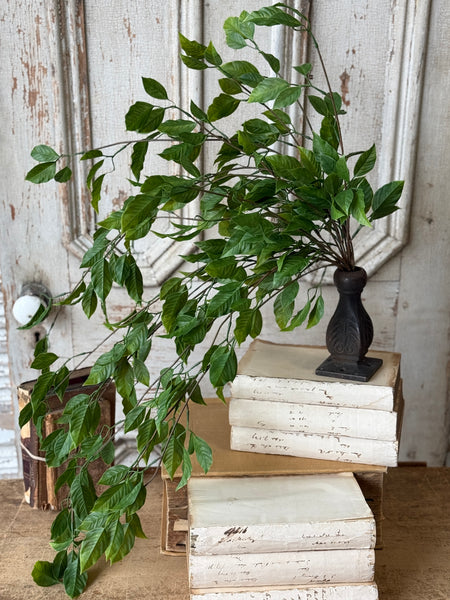 Cascading Bush - Norwood | 31" | NOT CURRENTLY IN STOCK-New For Spring 2027!