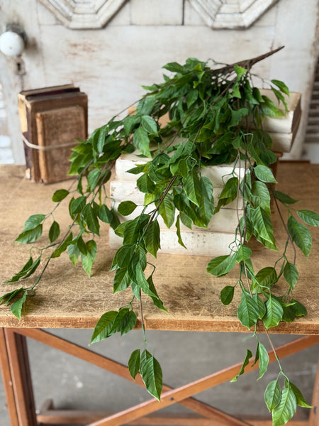 Cascading Bush - Norwood | 31" | NOT CURRENTLY IN STOCK-New For Spring 2027!