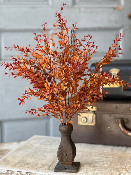 Ever Embers Bush | 20" | SOLD OUT