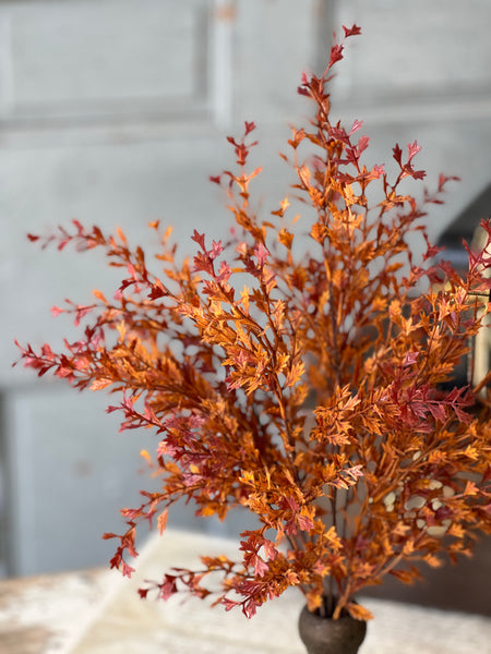 Ever Embers Bush | 20" | SOLD OUT