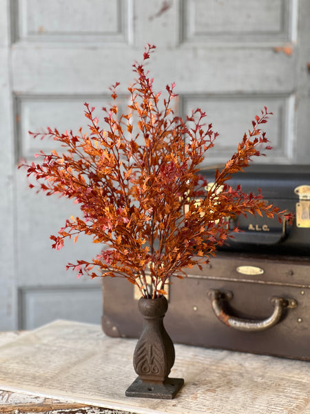 Ever Embers Bush | 20" | SOLD OUT