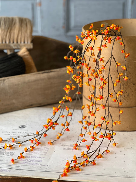 Briery Bittersweet Hanging | 27" | SOLD OUT