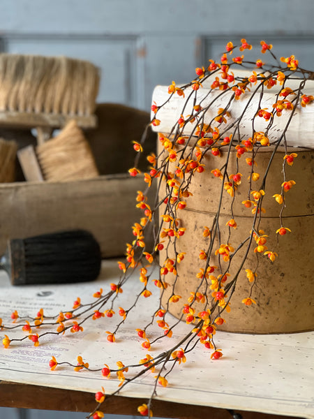 Briery Bittersweet Hanging | 27" | SOLD OUT