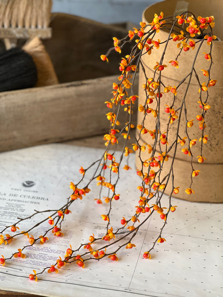 Briery Bittersweet Hanging | 27" | SOLD OUT