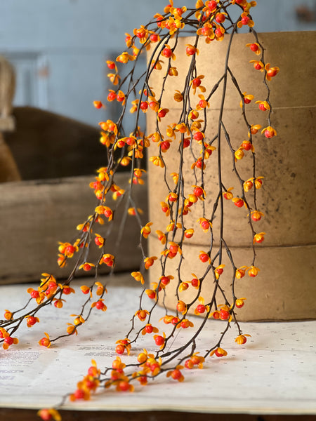 Briery Bittersweet Hanging | 27" | SOLD OUT