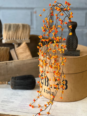 Briery Bittersweet Hanging | 27" | SOLD OUT