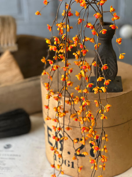 Briery Bittersweet Hanging | 27" | SOLD OUT