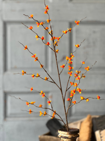 Briery Bittersweet Spray | 32" | Limited Stock - Last 96pcs!