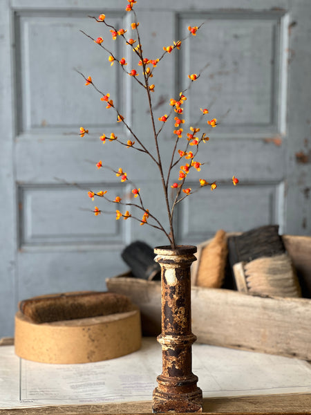 Briery Bittersweet Spray | 32" | CASE PACK SPECIAL! $2.50