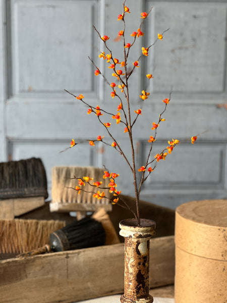 Briery Bittersweet Spray | 32" | CASE PACK SPECIAL! $2.50