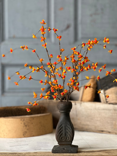 Briery Bittersweet Bush | 17" | SOLD OUT