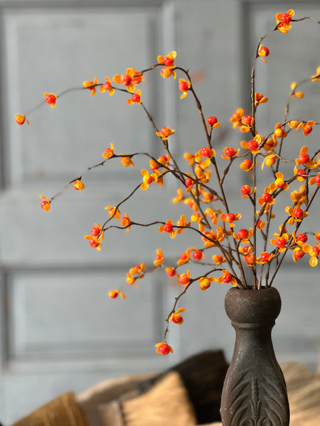 Briery Bittersweet Bush | 17" | SOLD OUT