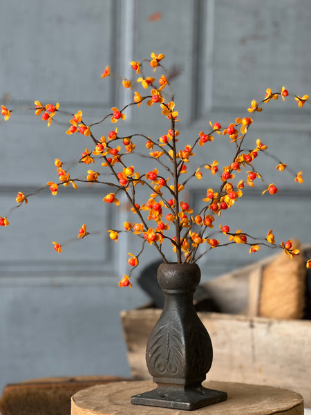 Briery Bittersweet Bush | 17" | SOLD OUT