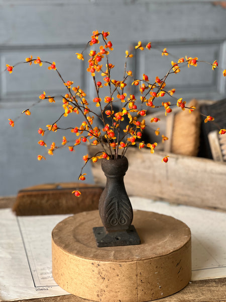 Briery Bittersweet Bush | 17" | SOLD OUT