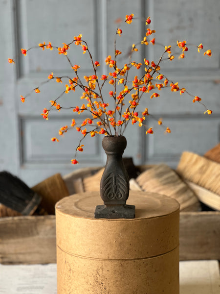 Briery Bittersweet Bush | 17" | SOLD OUT