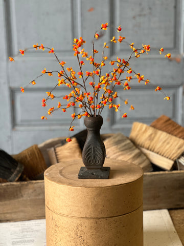 Briery Bittersweet Bush | 17" | SOLD OUT