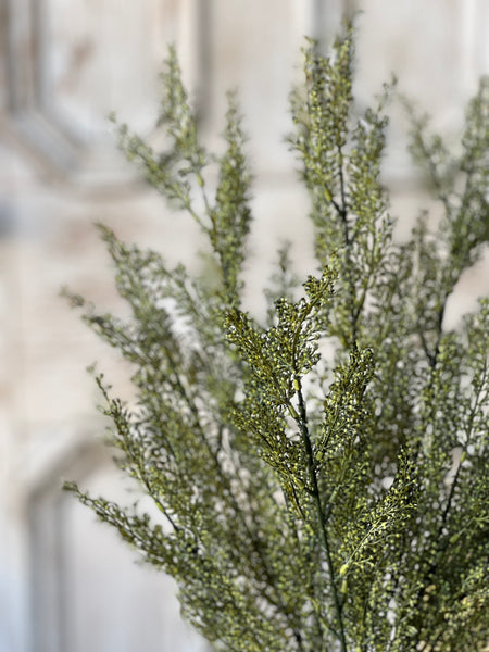 Whickham Wheat Bush | 19" | Moss | SOLD OUT