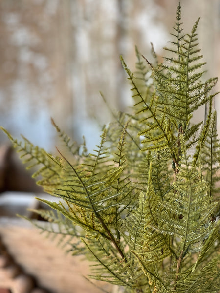 Fernbank Bush | 19" | Green | NEW CLOSEOUT!  From $2.50