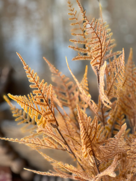 Fernbank Bush | 19" | Sandalwood | NEW CLOSEOUT!  From $2.50